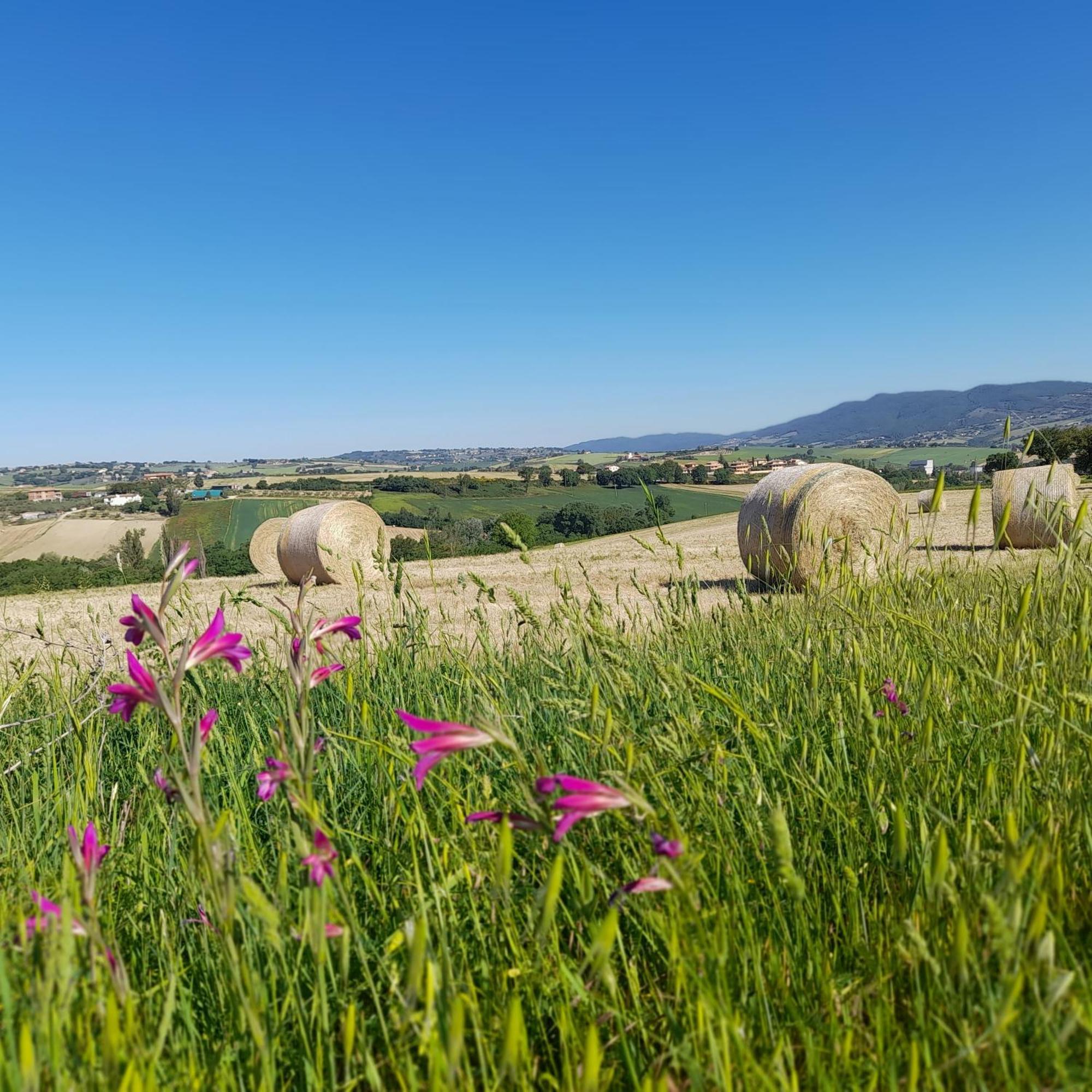 Tenuta San Felice Giano dell'Umbria Ngoại thất bức ảnh