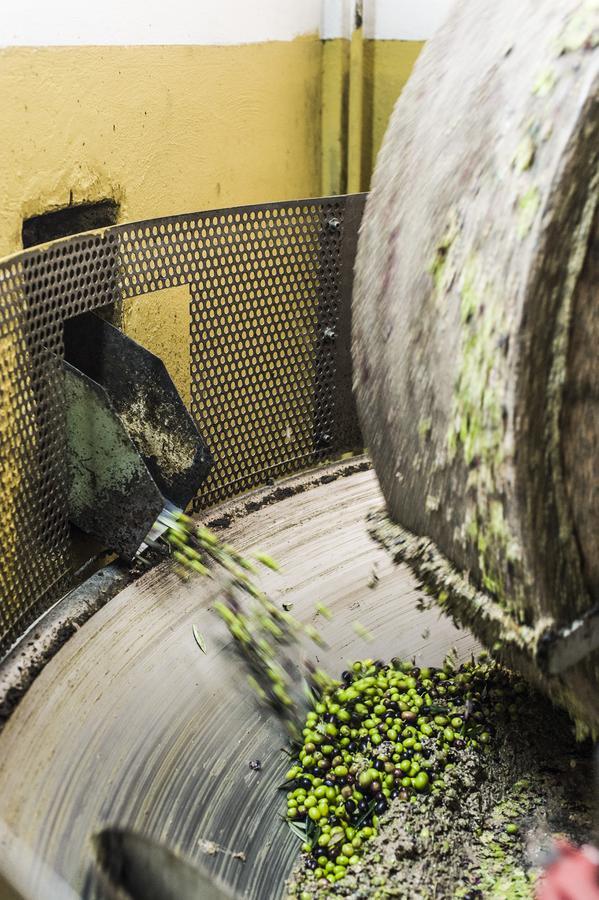 Tenuta San Felice Giano dell'Umbria Ngoại thất bức ảnh