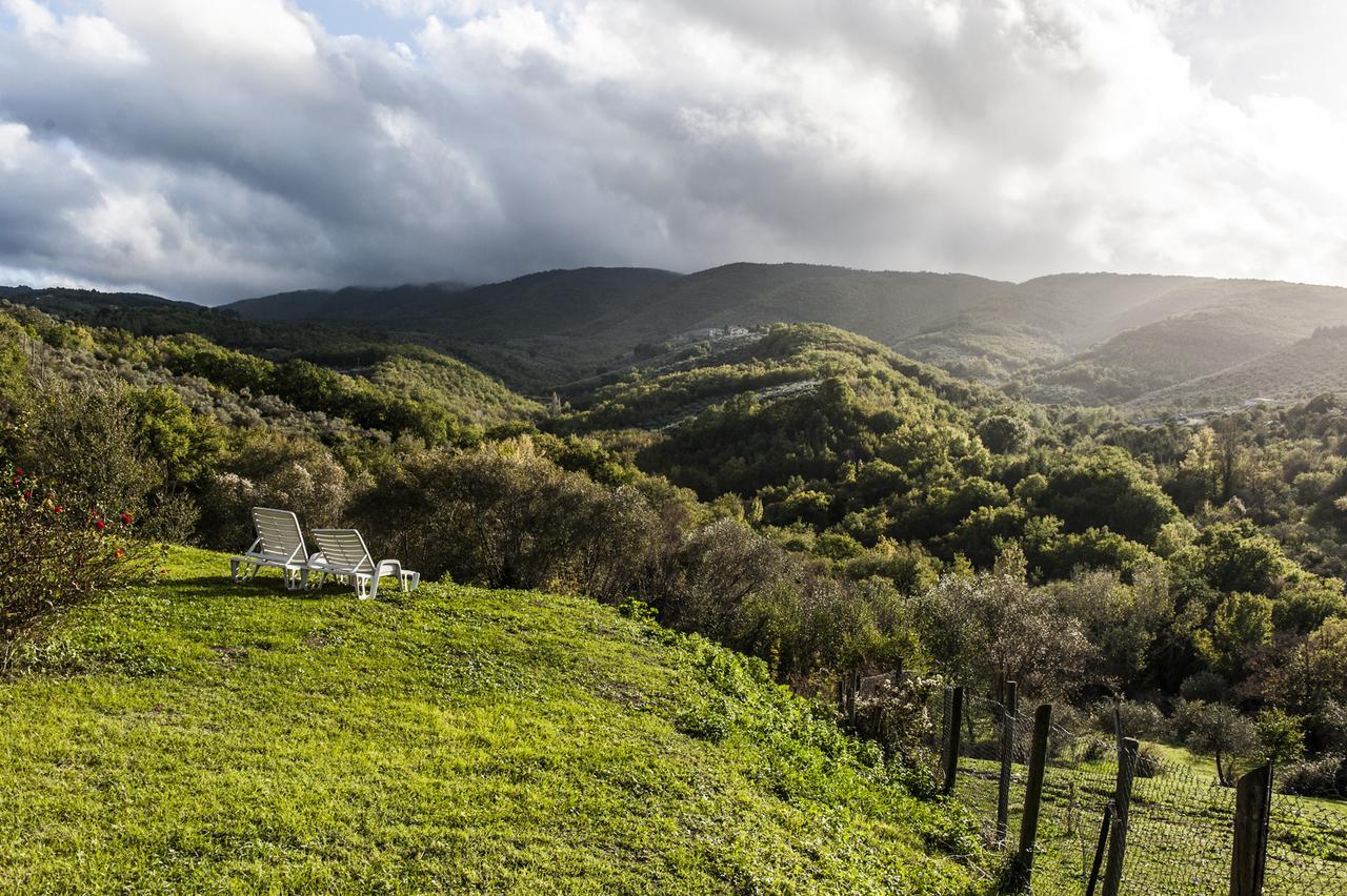 Tenuta San Felice Giano dell'Umbria Ngoại thất bức ảnh