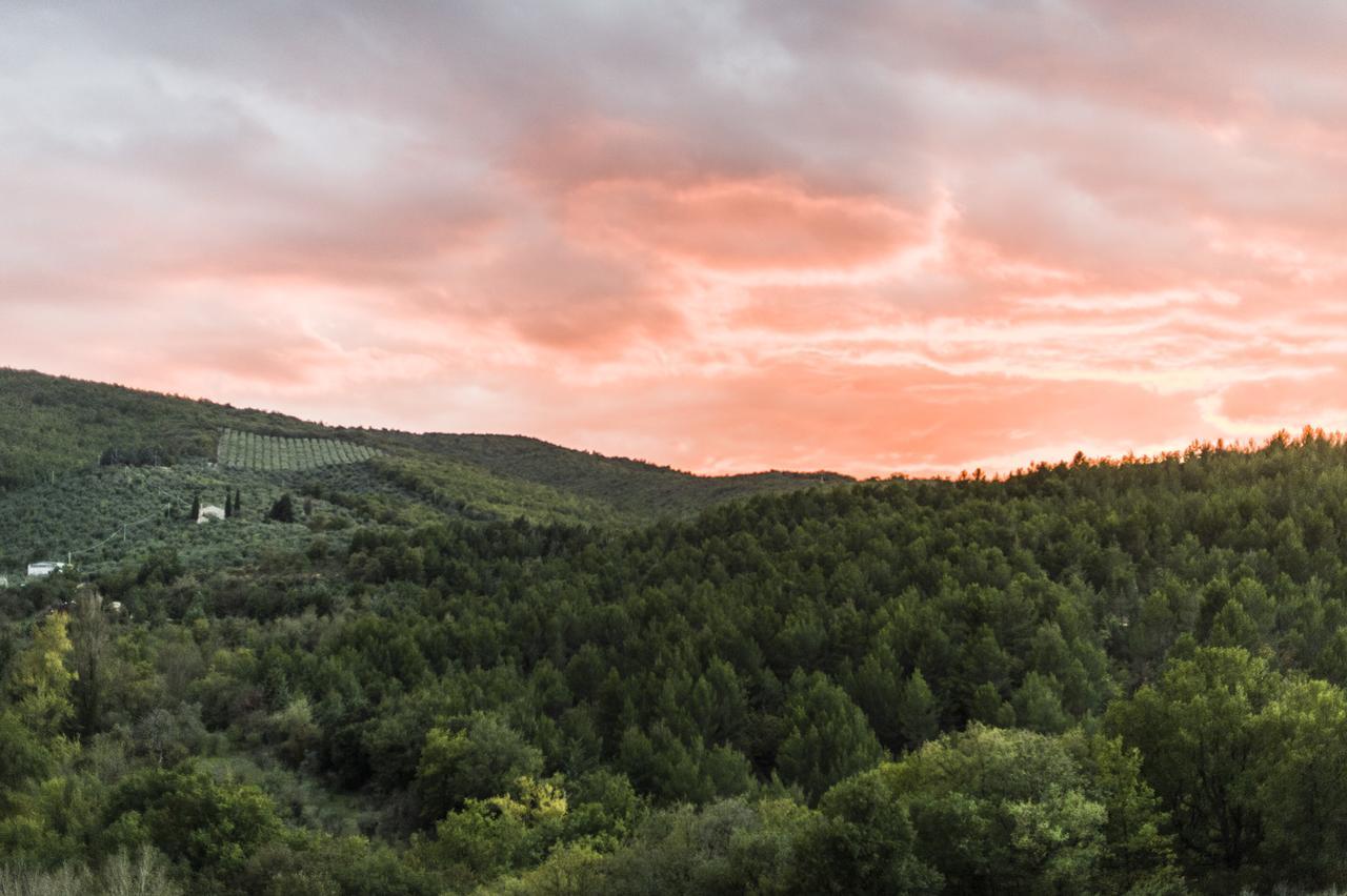 Tenuta San Felice Giano dell'Umbria Ngoại thất bức ảnh